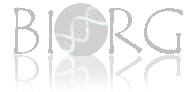 The BioRG Logo